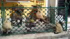 Hallstatt (29)