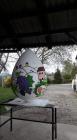Pisanice Velike (4)