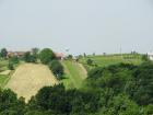DSCN5554