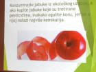 DSCN6542
