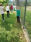 IMG-647f17a35a6408b6d7a0aedcf35149dc-V