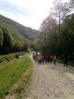IMG-6f6a79cf50432794ef4ea93851b106c3-V