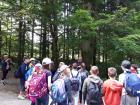 20180605_085356 (Large)