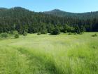 20180605_093929 (Large)