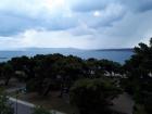 20180605_135416 (Large)