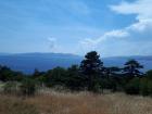 20180607_145015 (Large)