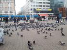 20181106_113544