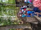 IMG_20190605_105100