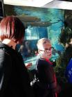 IMG_20191024_091929