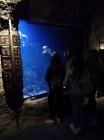 IMG_20191024_093724