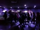IMG_20191024_094421