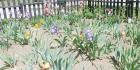 IMG-20200508-WA0003