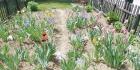 IMG-20200508-WA0005