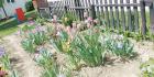 IMG-20200508-WA0008