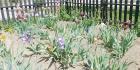 IMG-20200508-WA0010