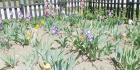 IMG-20200508-WA0011