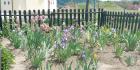 IMG-20200508-WA0013
