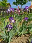 IMG-20200508-WA0015