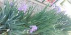 IMG-20200508-WA0018