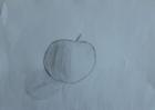IMG-20201021-WA0008