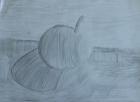 IMG-20201021-WA0012