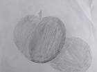 IMG_20201021_145819