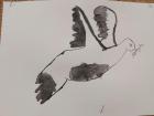IMG-20201120-WA0012