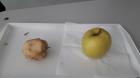 IMG-20210610-WA0034