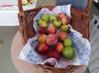 IMG_20210916_110654