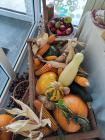 IMG_20211015_112732