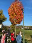 IMG-20211021-WA0007