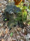 IMG-20211021-WA0010