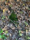 IMG-20211021-WA0012