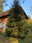 IMG-20211021-WA0020