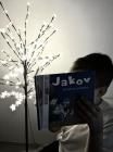 Jakov Levak, 3.B