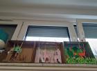IMG_20220331_143905