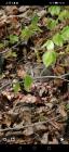 IMG-Ef55414879936b8295d41c17ad17aaf6-V