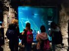 IMG_20220413_094114