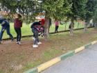 IMG-75bbd6ec451efac8bbd3bef5360b3acd-V