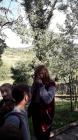 IMG-20220922-WA0012