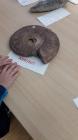 IMG-20220922-WA0039