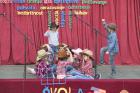 Mini-IMG_8045