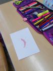 IMG_20190918_092407