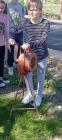 IMG-F9cbb1fe018899b0d79a0424d4db89b9-V