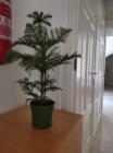 IMG_20231207_103957[1]