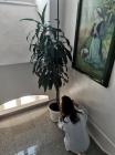 IMG_20231207_104041[1]