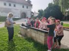 Slika (1)