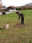 IMG-20211116-WA0012