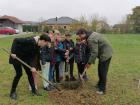 IMG-E611adcea01477929c84e9fc57cccb63-V
