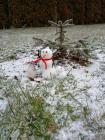 IMG-20240116-WA0000